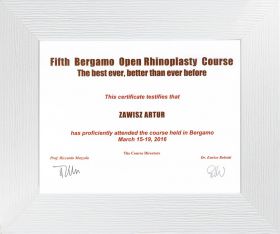 Bergamo_open_rhinoplasty_course_2016
