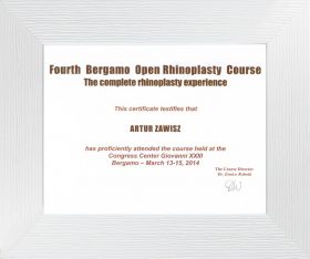 Bergamo_open_rhinoplasty_course_2014