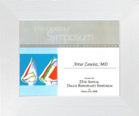 rhinoplasty_symposium_Dallas_2008